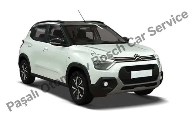 Bodrum Citroen Servisi