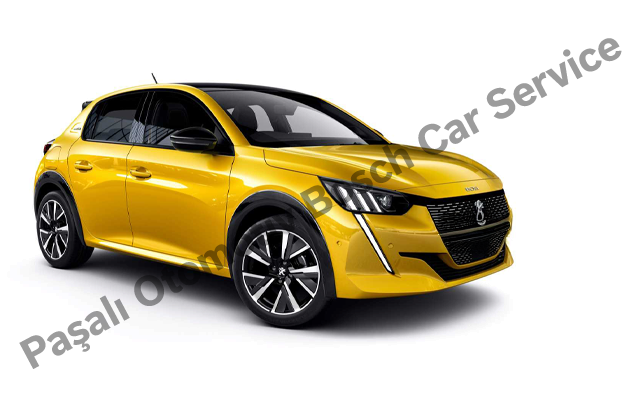Bodrum Peugeot Servisi