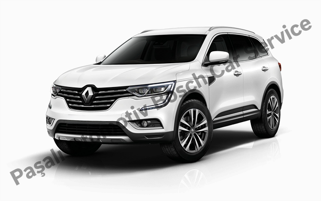 Bodrum Renault Servisi