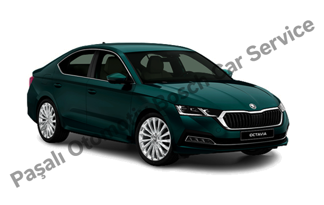 Bodrum Skoda Servisi