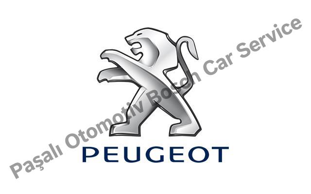 Bodrum Peugeot Servisi